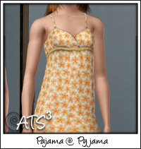 Around the Sims 3