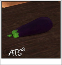 Around the Sims 3