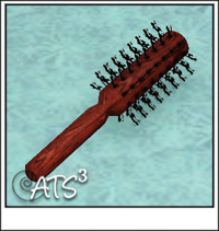 Around the Sims 3