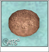 Around the Sims 3