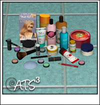 Around the Sims 3