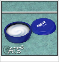 Around the Sims 3