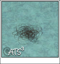 Around the Sims 3