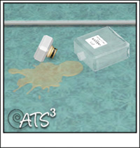 Around the Sims 3