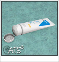 Around the Sims 3