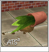 Around the Sims 3