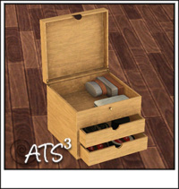 Around the Sims 3