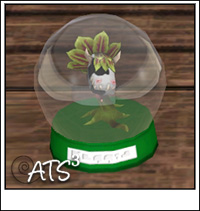 Around the Sims 3
