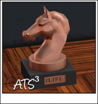 Around the Sims 3