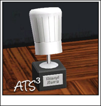 Around the Sims 3