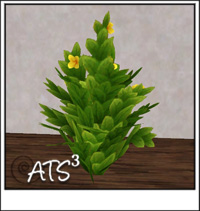 https://aroundthesims3.com/objects/images/decorative_DIY/succulent.jpg