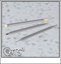 Around the Sims 3