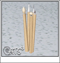 Around the Sims 3