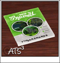 Around the Sims 3