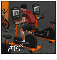 Around the Sims 3