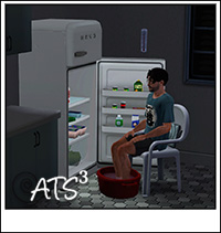 Around the Sims 3