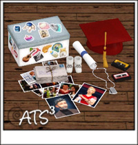 Around the Sims 3